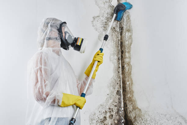 Crawl Space Mold Removal in Granite Quarry, NC