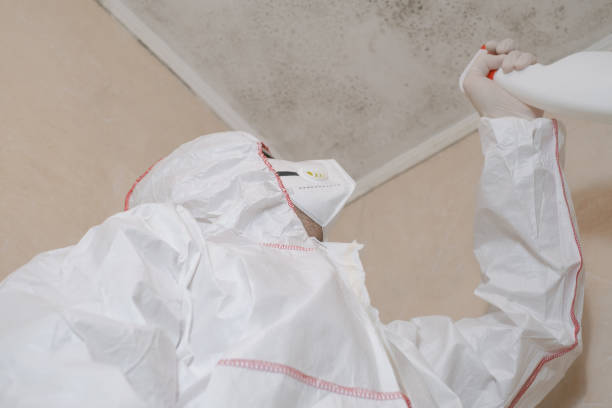 Best Black Mold Removal  in Granite Quarry, NC