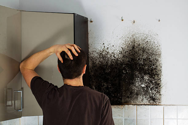 Granite Quarry, NC Mold Removal Company