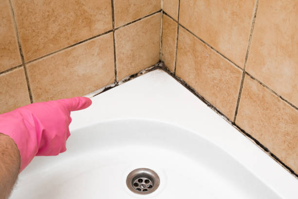 Best Water Damage Restoration  in Granite Quarry, NC